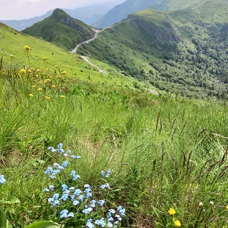 Les Nuits De Vieillespeze 3* Saint-Projet-de-Salers